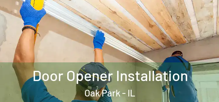  Door Opener Installation Oak Park - IL