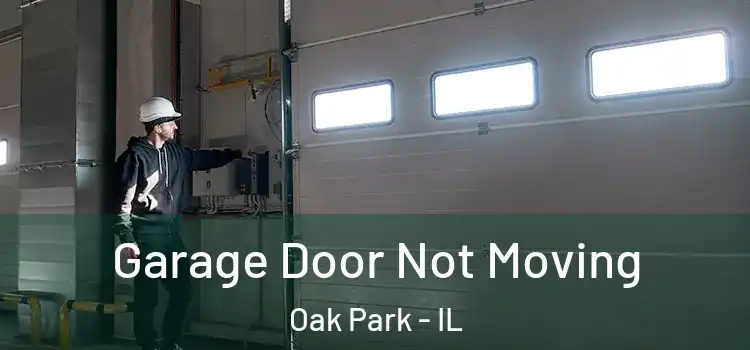  Garage Door Not Moving Oak Park - IL