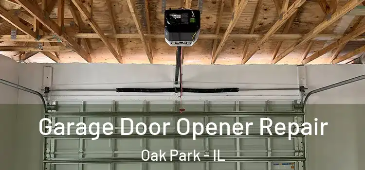  Garage Door Opener Repair Oak Park - IL