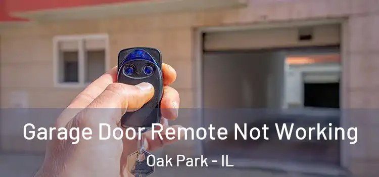  Garage Door Remote Not Working Oak Park - IL