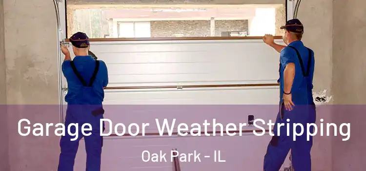  Garage Door Weather Stripping Oak Park - IL
