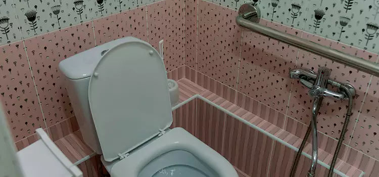 Meeting Diverse Needs With Accessible Restroom Solutions in Oak Park, IL