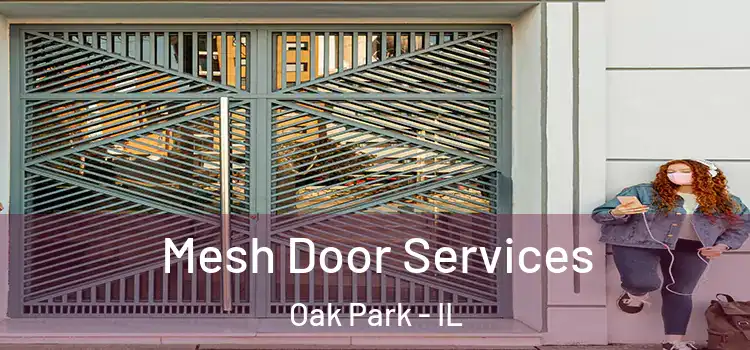Mesh Door Services Oak Park - IL