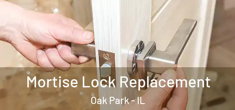 Mortise Lock Replacement Oak Park - IL