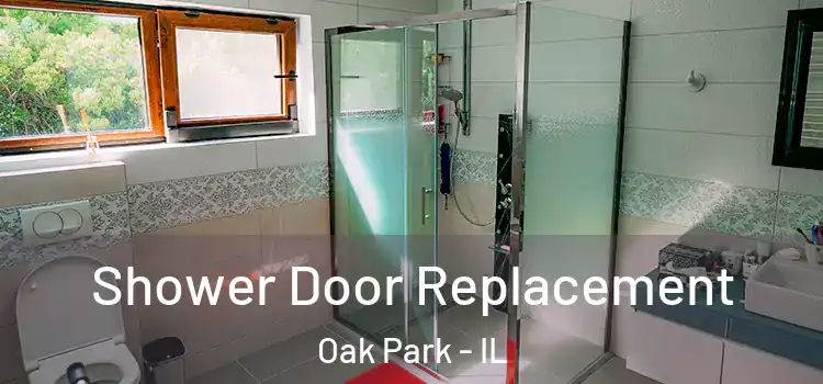 Shower Door Replacement Oak Park - IL